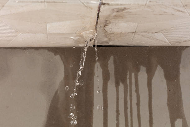 Professional Sewage Cleanup technician working in Harrisonville, MO